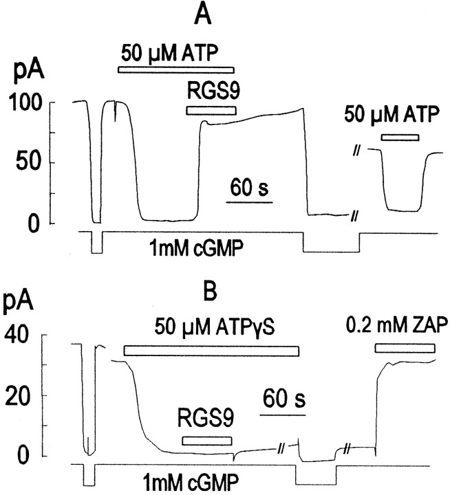 Fig. 5.