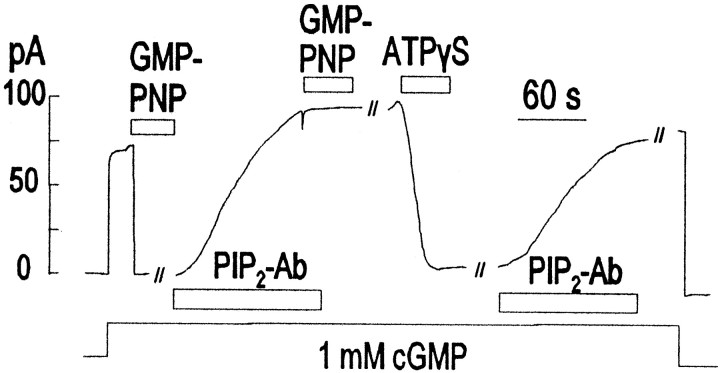 Fig. 10.