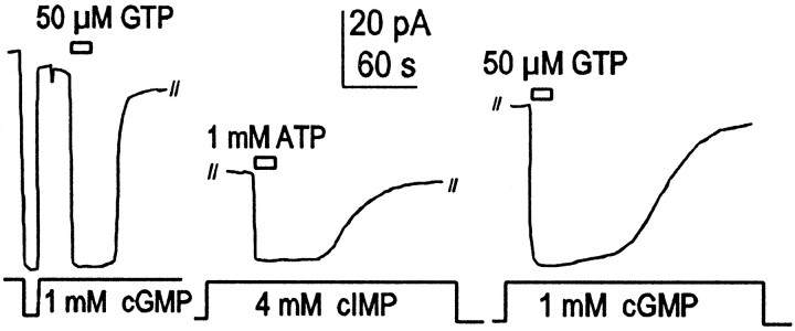 Fig. 6.