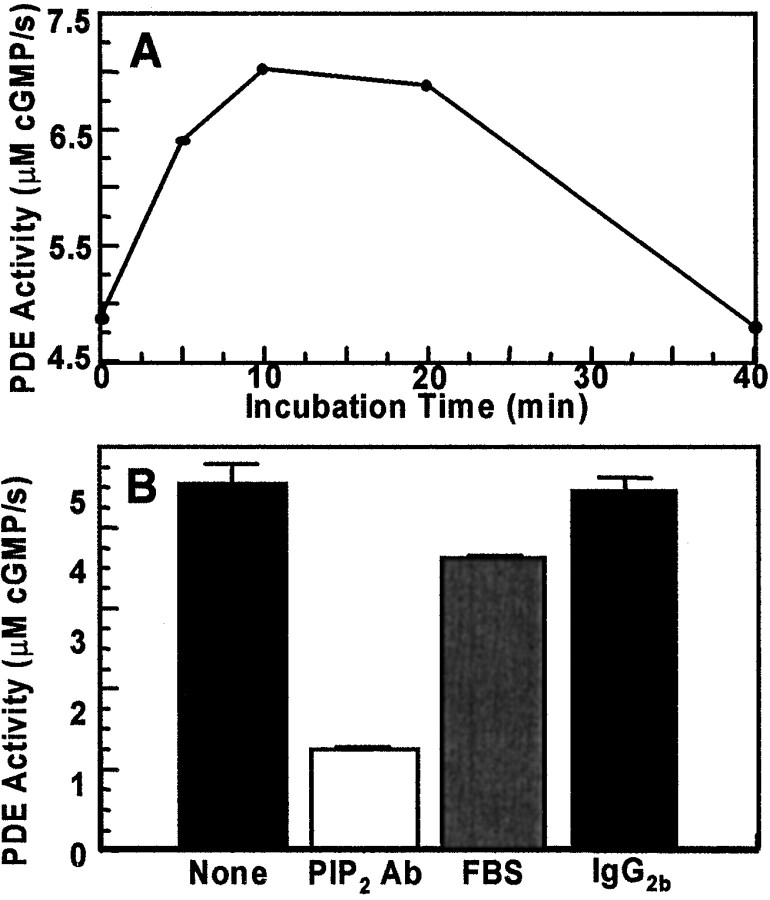 Fig. 11.