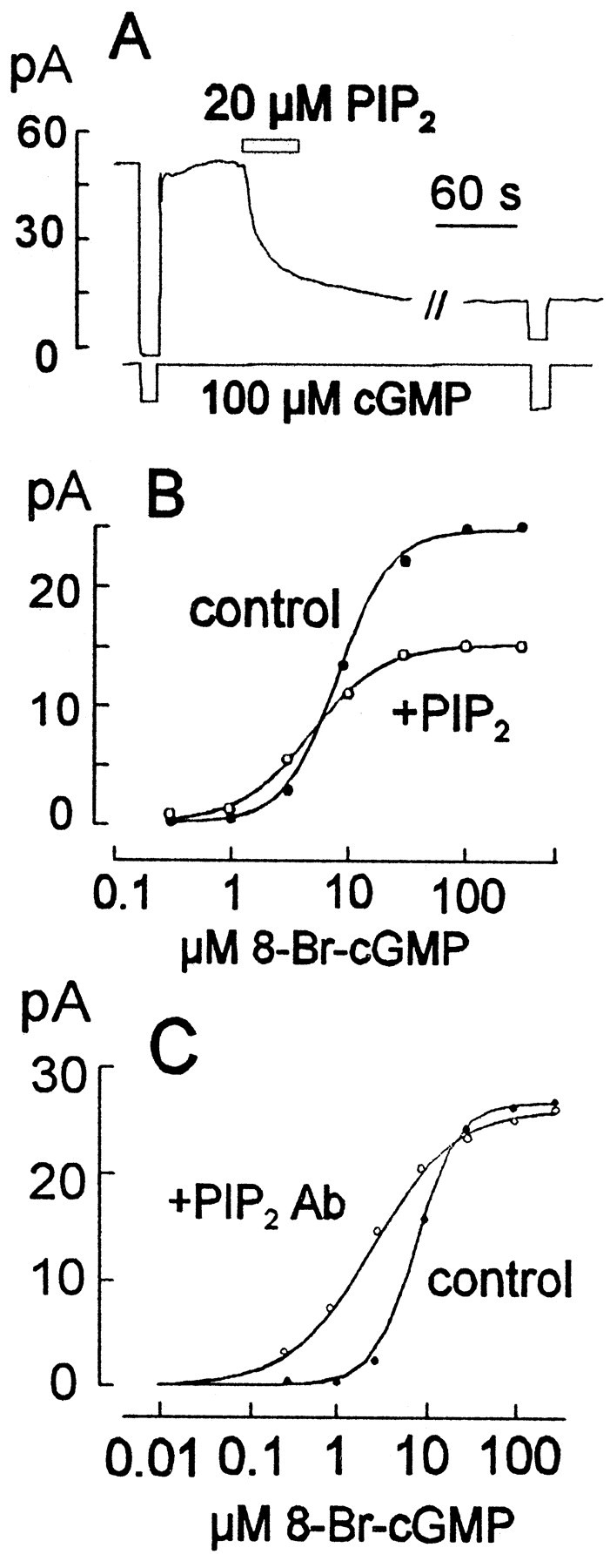 Fig. 8.