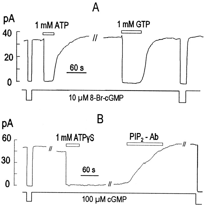 Fig. 3.