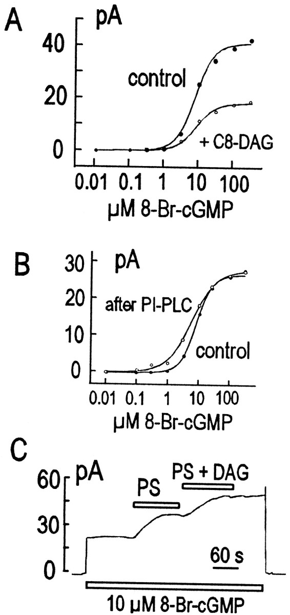 Fig. 9.