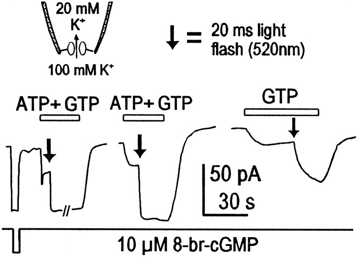 Fig. 7.