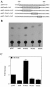 FIG. 6