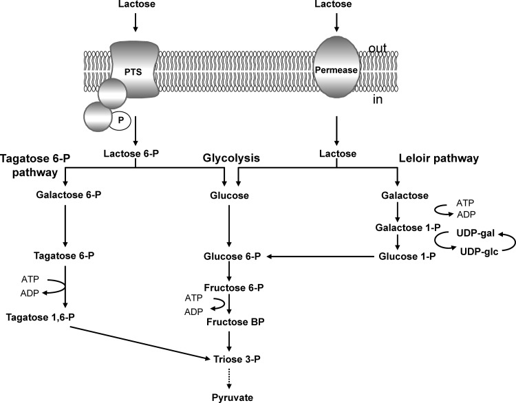 Fig 1