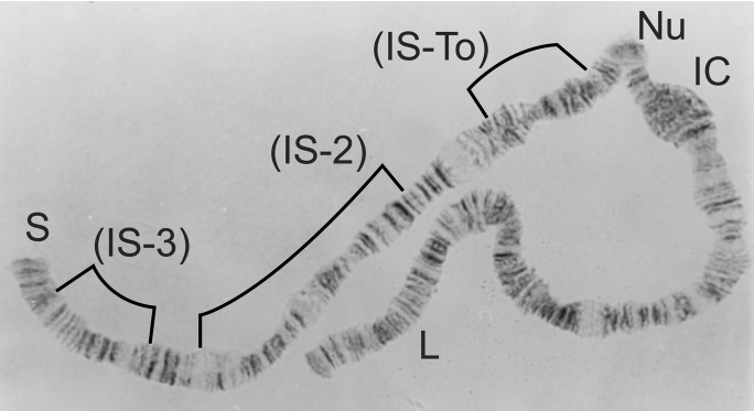 Figure 14