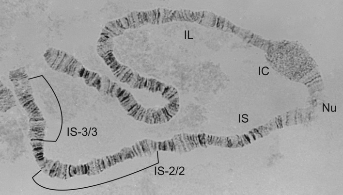 Figure 16