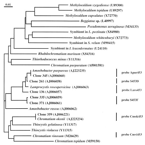 FIG. 1