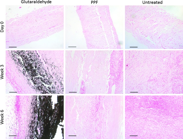 FIG. 9.