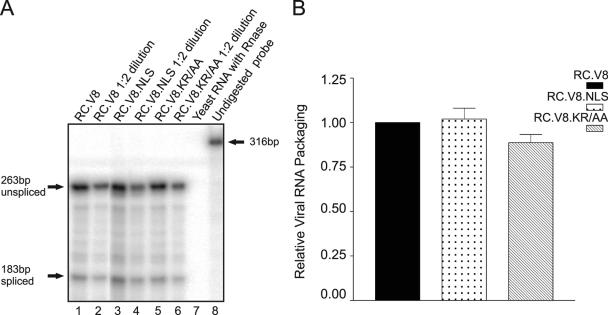 FIG. 6.