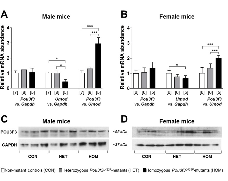 Fig 9