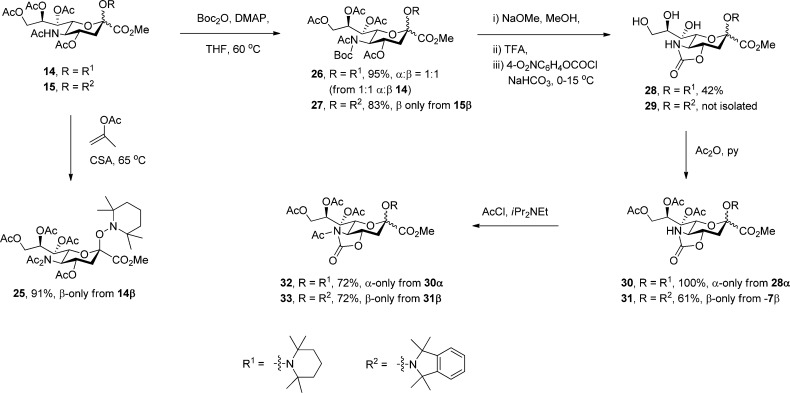 Scheme 3