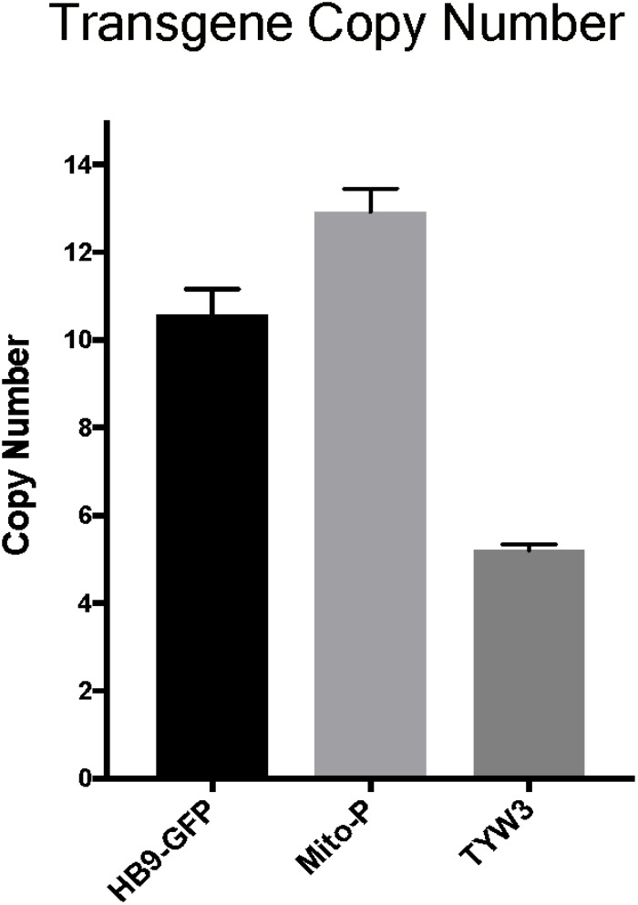 FIGURE 6