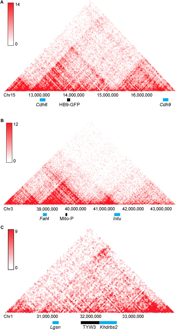 FIGURE 10