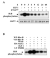 FIG. 8