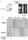 FIG. 7