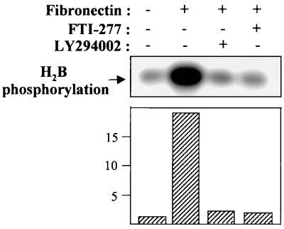 FIG. 6