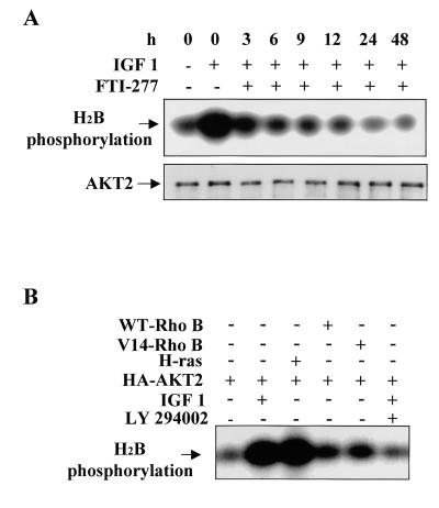 FIG. 8