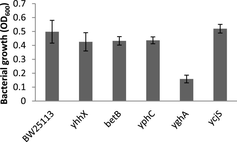 FIG 1