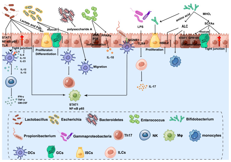 Figure 2