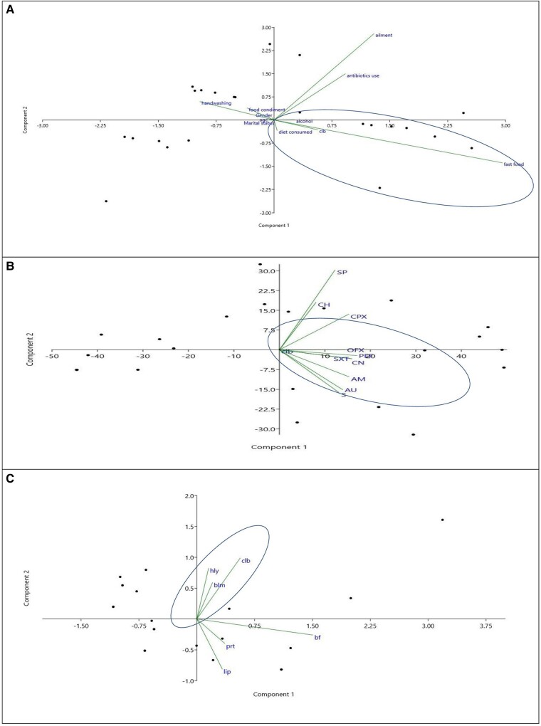 Figure 4.