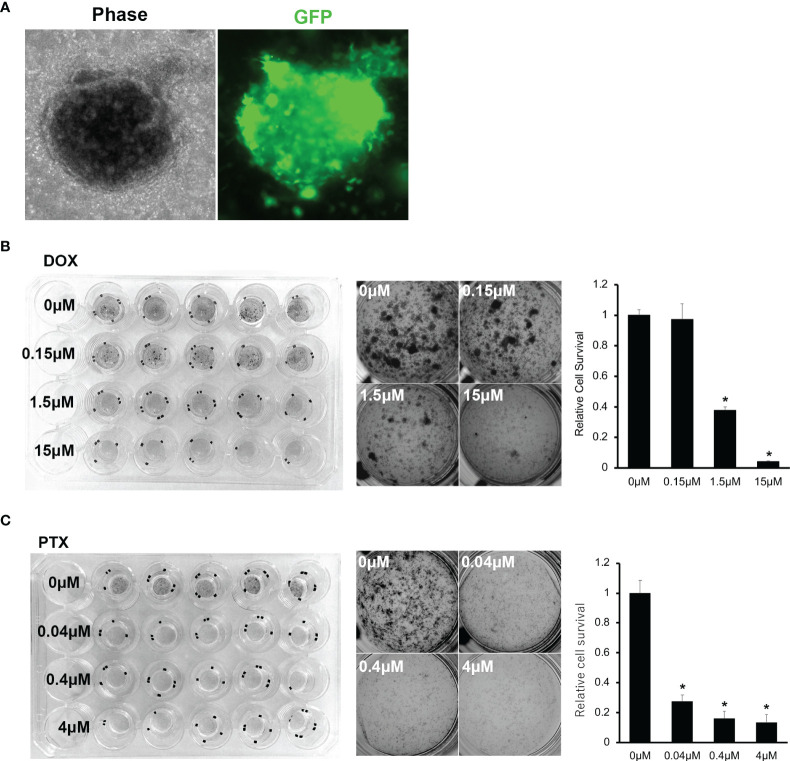 Figure 6