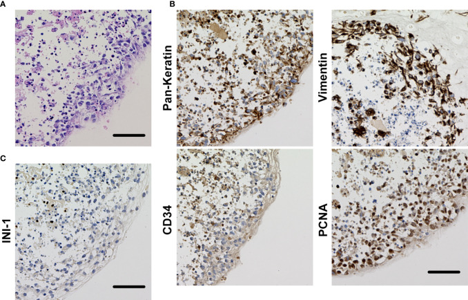 Figure 4