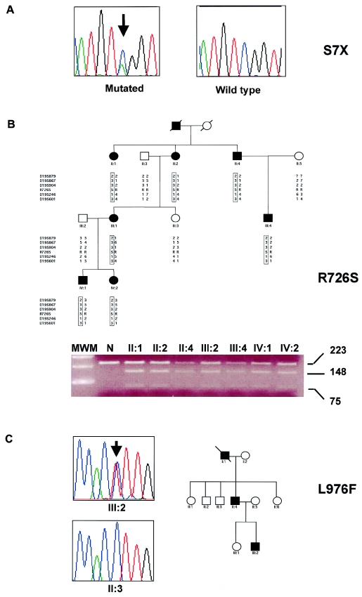 Figure  3