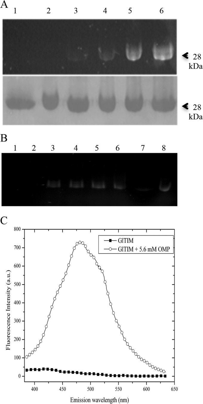 FIG 3