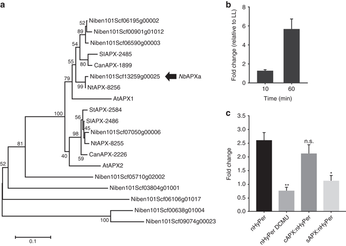 Fig. 4