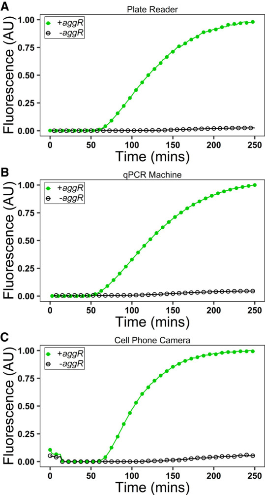 FIGURE 4.