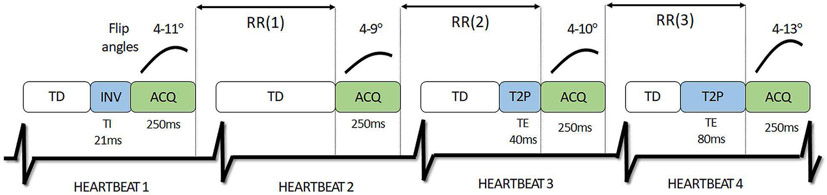 Fig. 6.