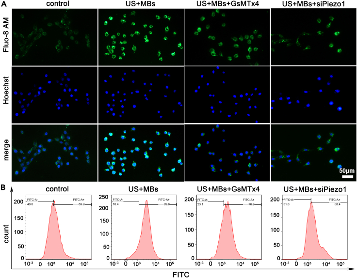 Figure 6