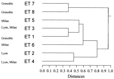 FIG. 1