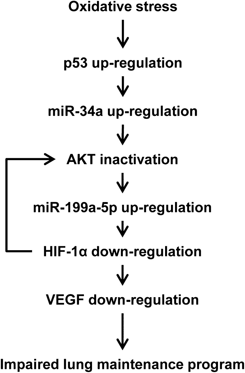 Figure 9.