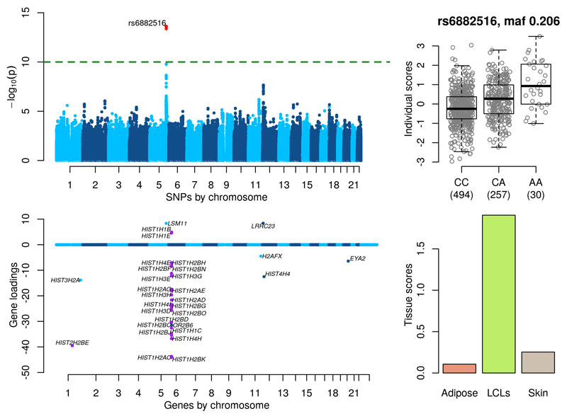 Figure 4