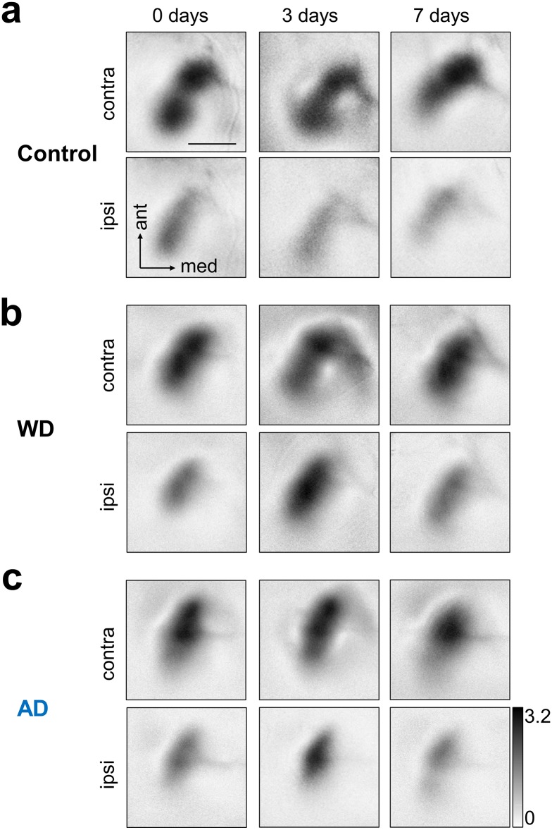 Fig 2