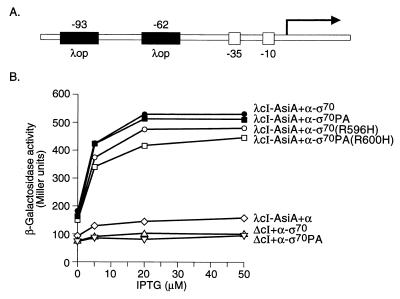 FIG. 6