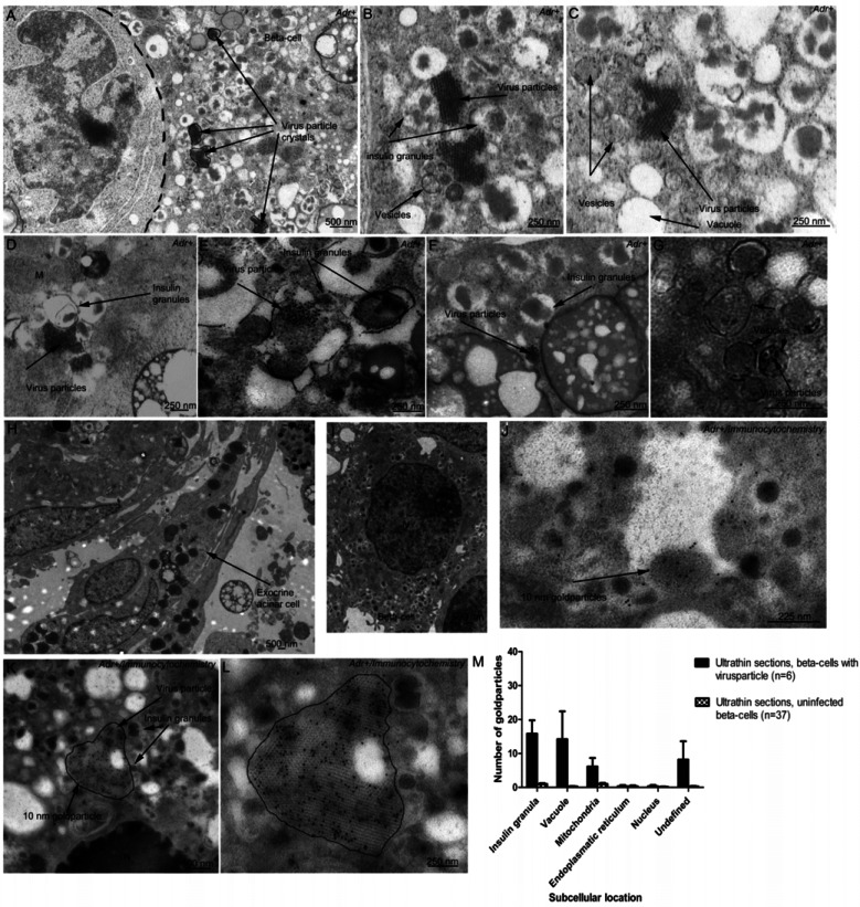 Fig. (5)