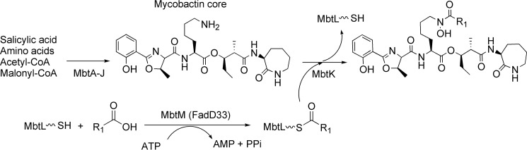 FIGURE 1.