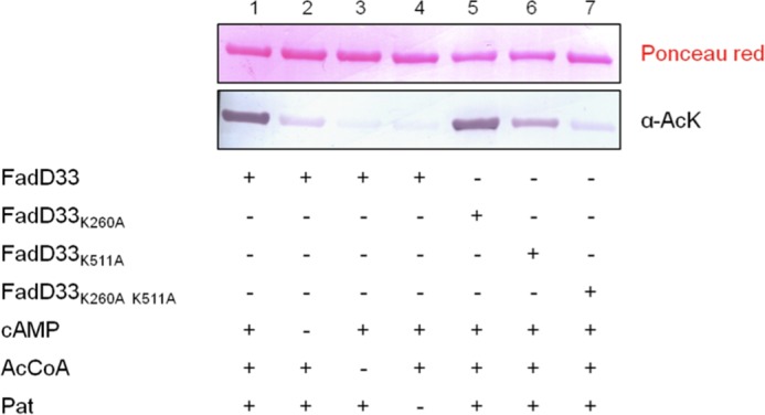 FIGURE 9.