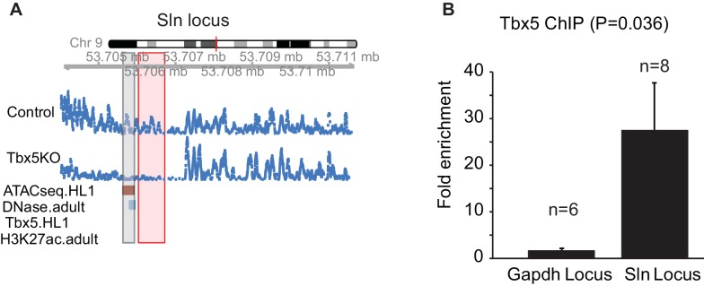 Figure 3—figure supplement 1.