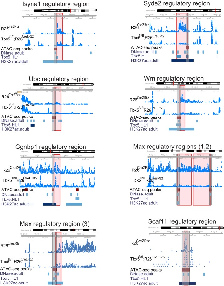 Figure 1—figure supplement 2.