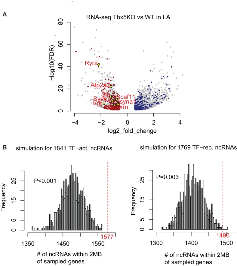 Figure 1—figure supplement 3.