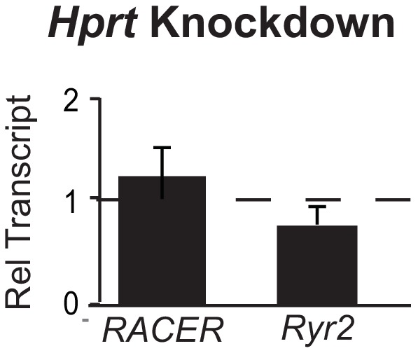 Figure 4—figure supplement 1.