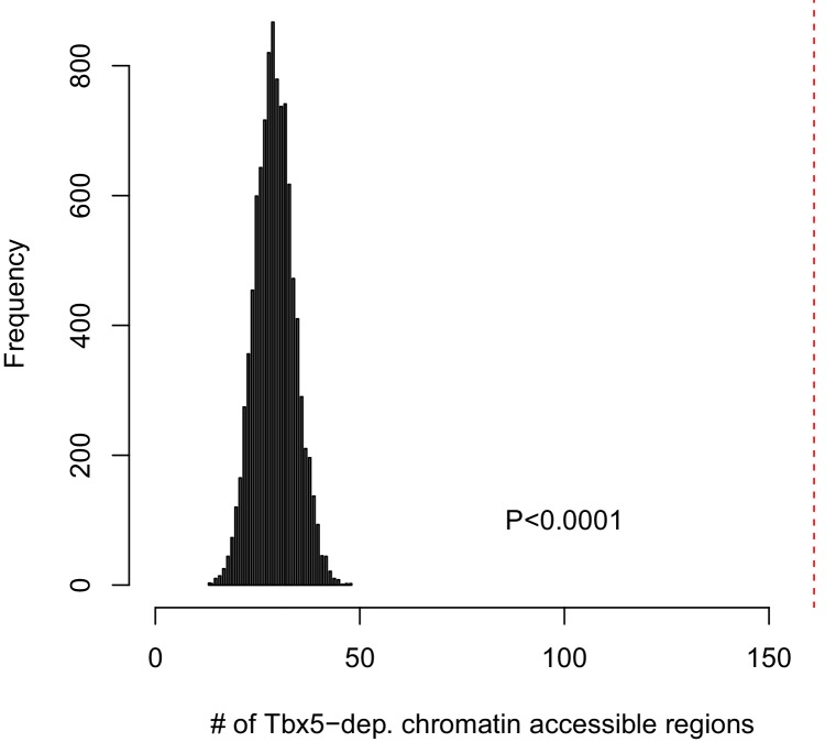 Figure 1—figure supplement 4.