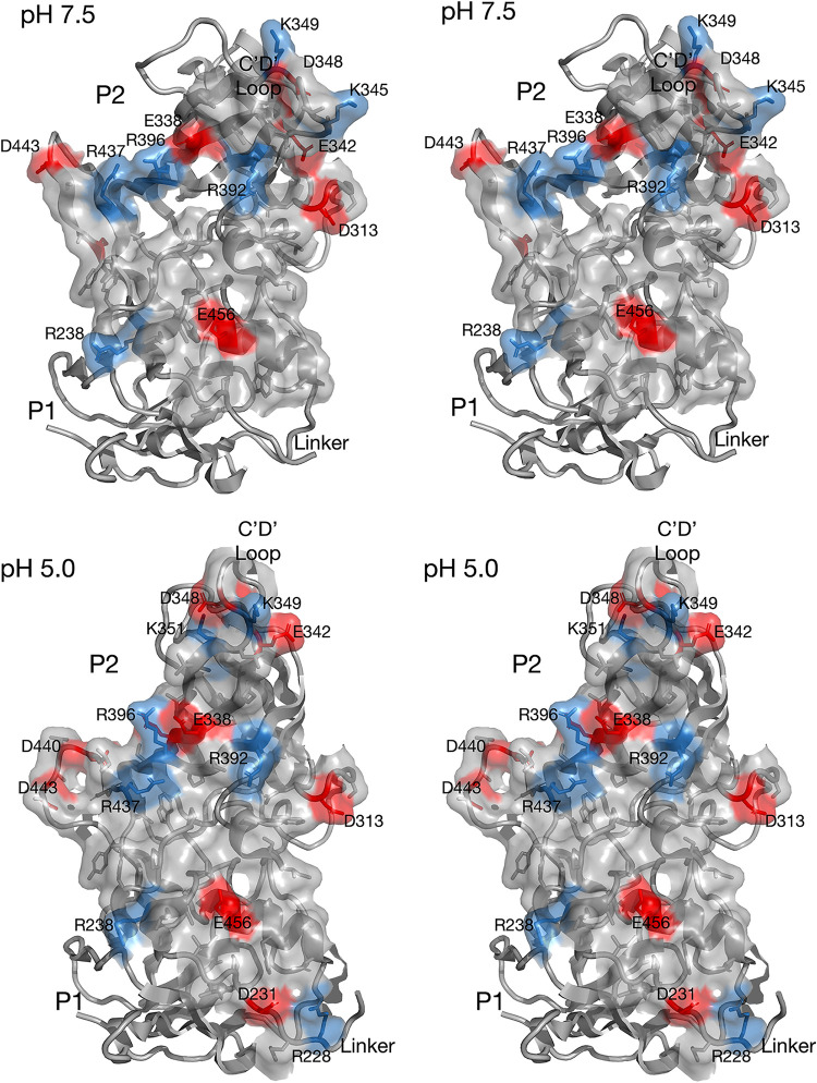 FIG 3