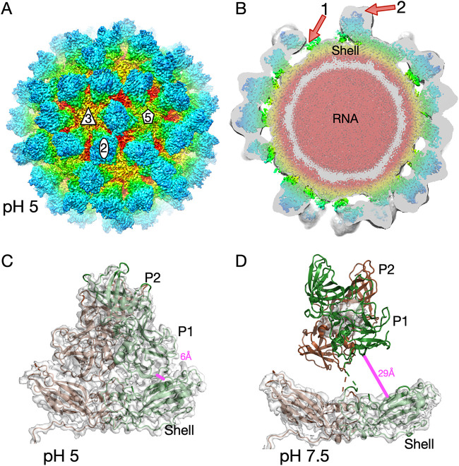 FIG 2