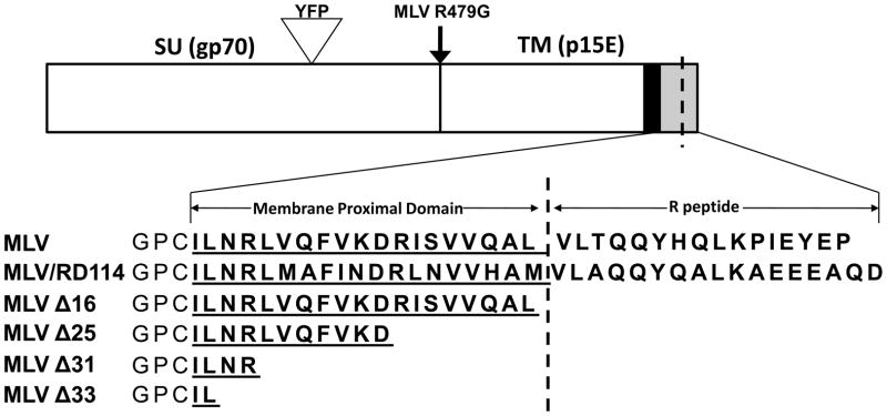 FIG. 1